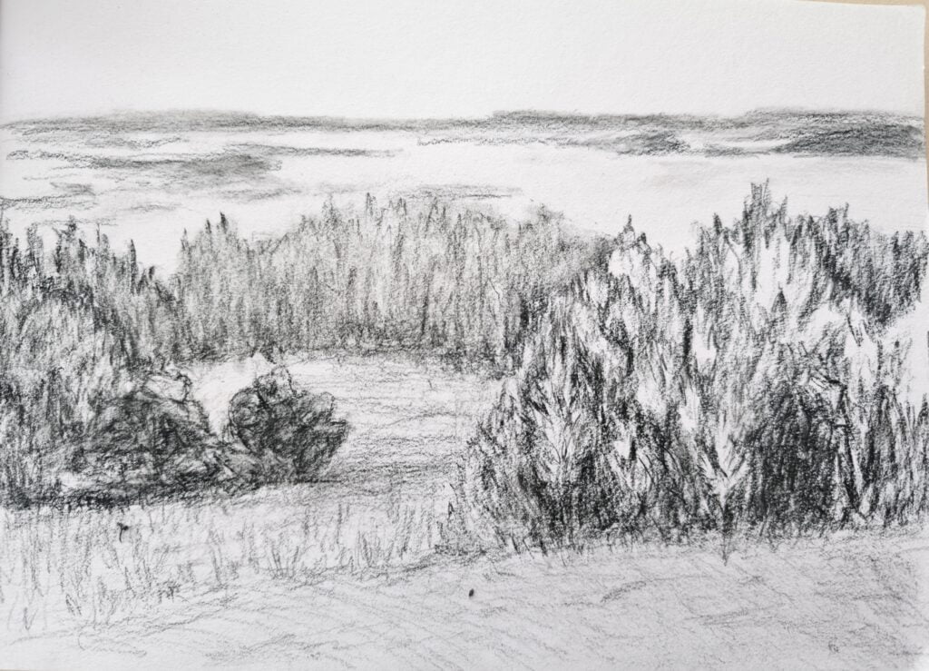 Paysage fôret
