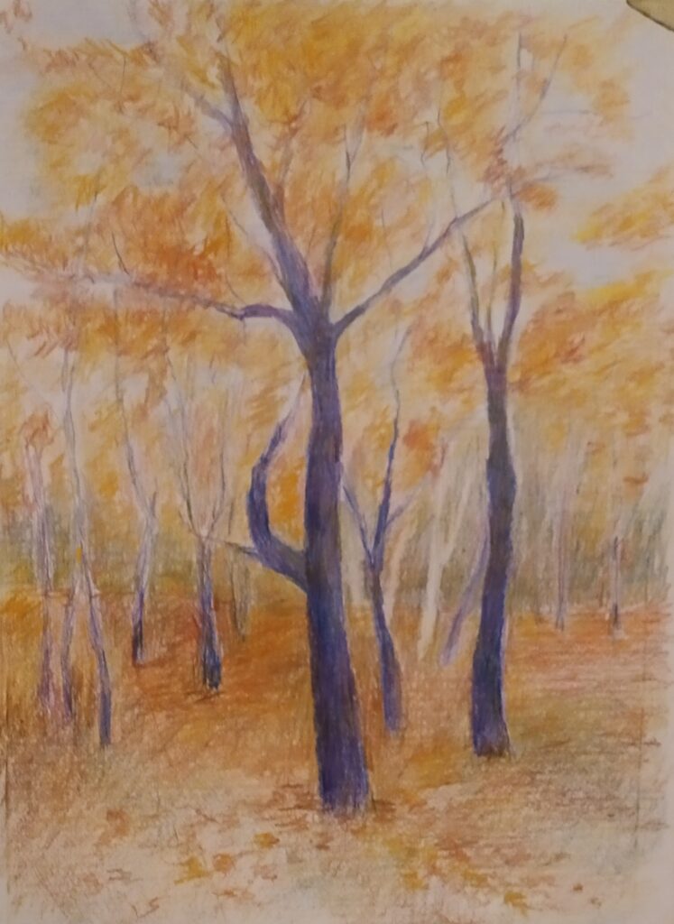 22_automn