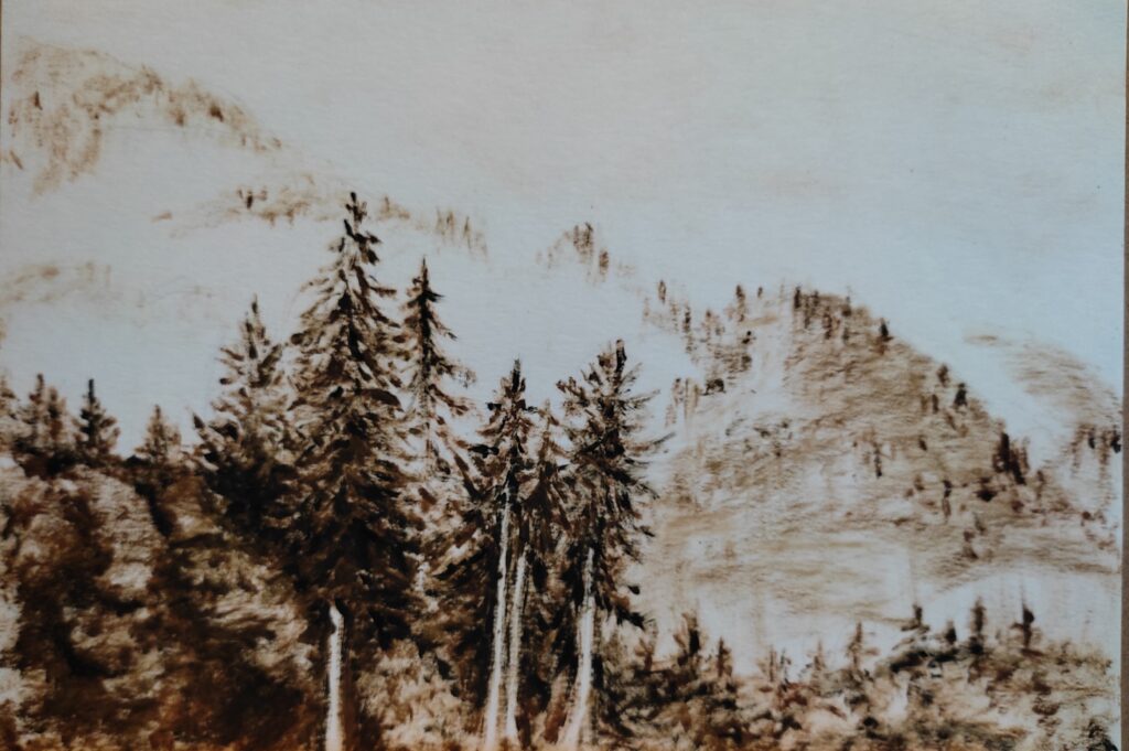23_montain_forest