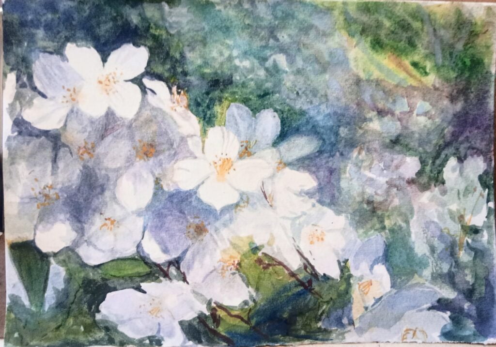flowers