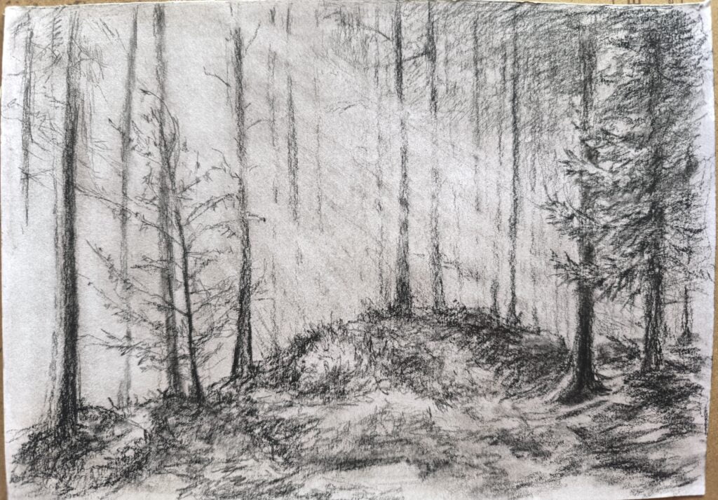 light&forest