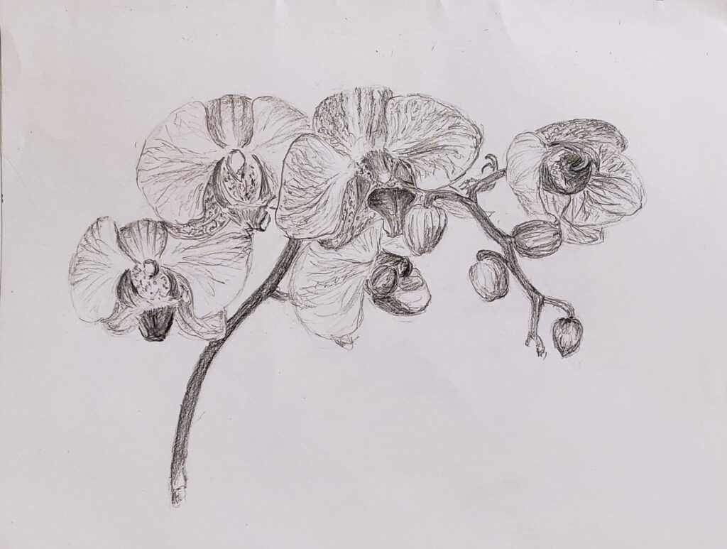orchid