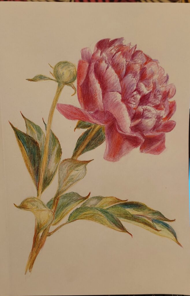 peony