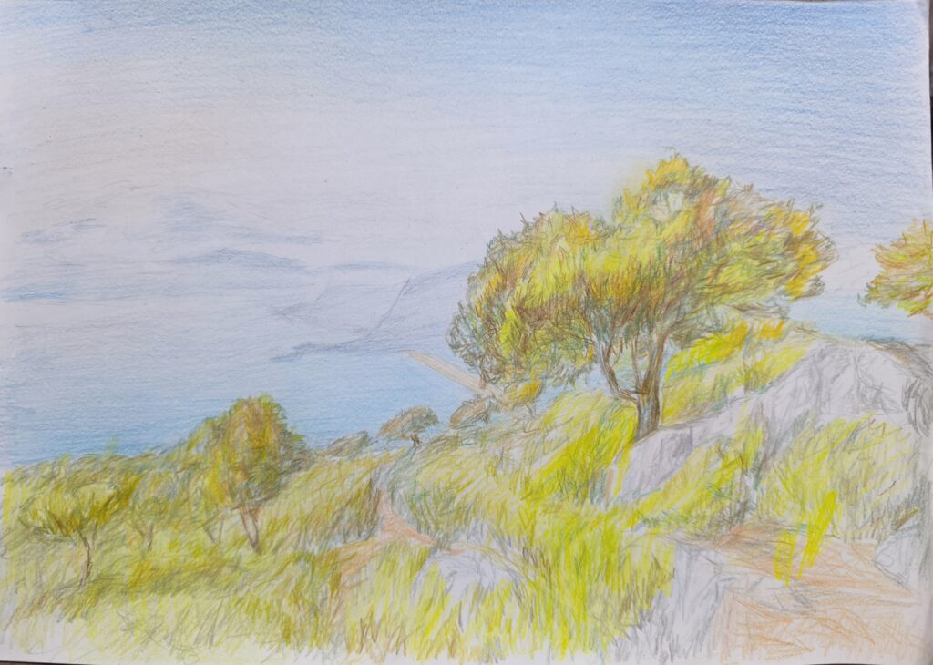 south_coast
