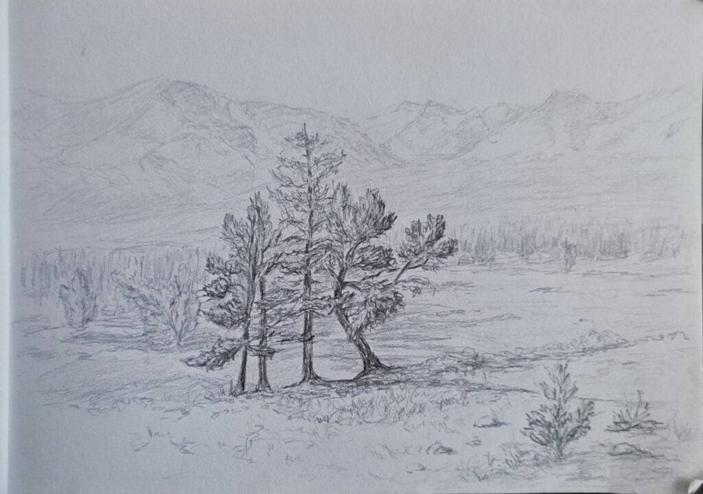 pines_montain