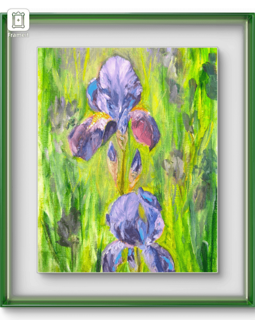 iris