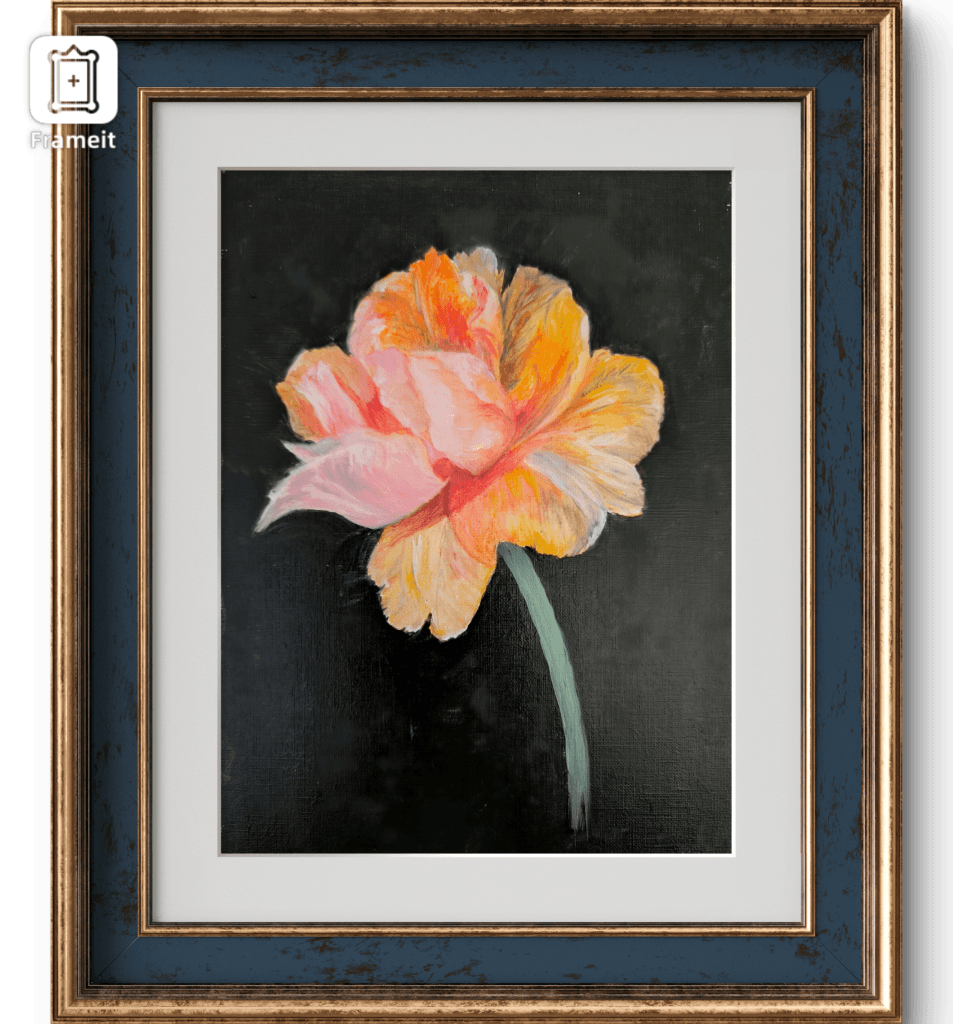 pion_frame
